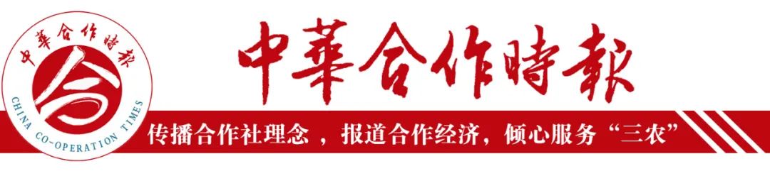 南京富硒大米批发市场