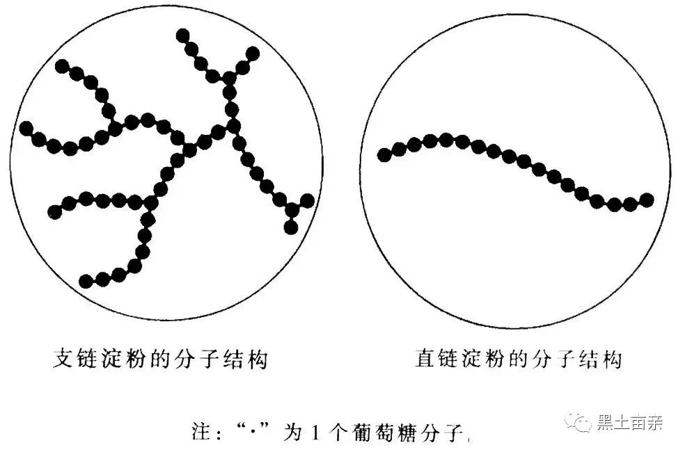 梧桐河富硒大米多少钱