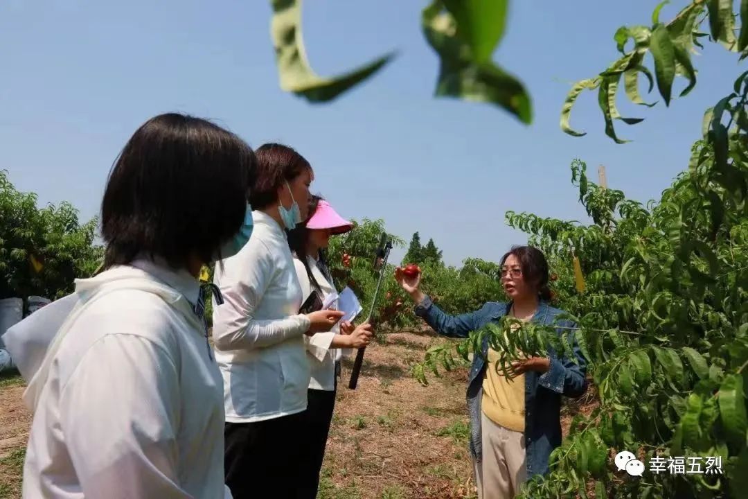 富硒大米怎么做电商的