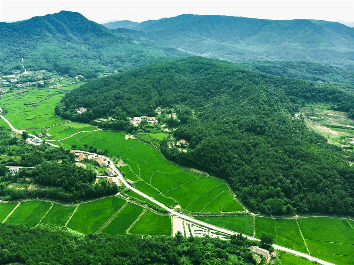 湖北省仙桃市富硒大米