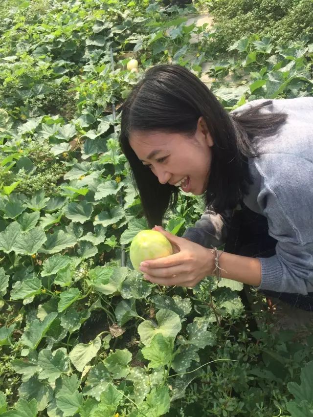 黑龙江海伦富硒大米节