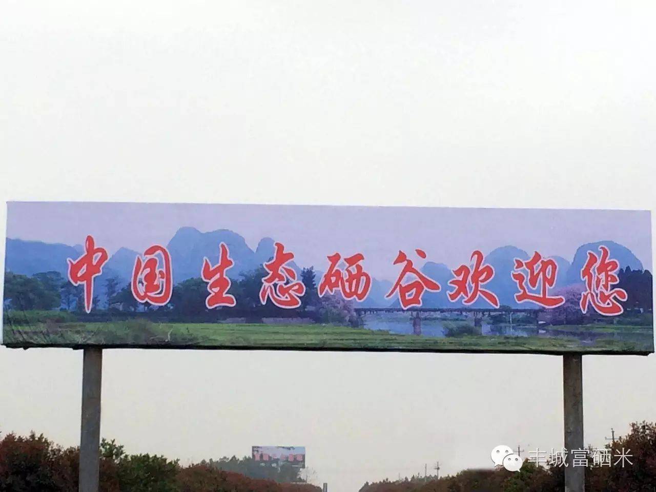 富硒大米适合做什么吃