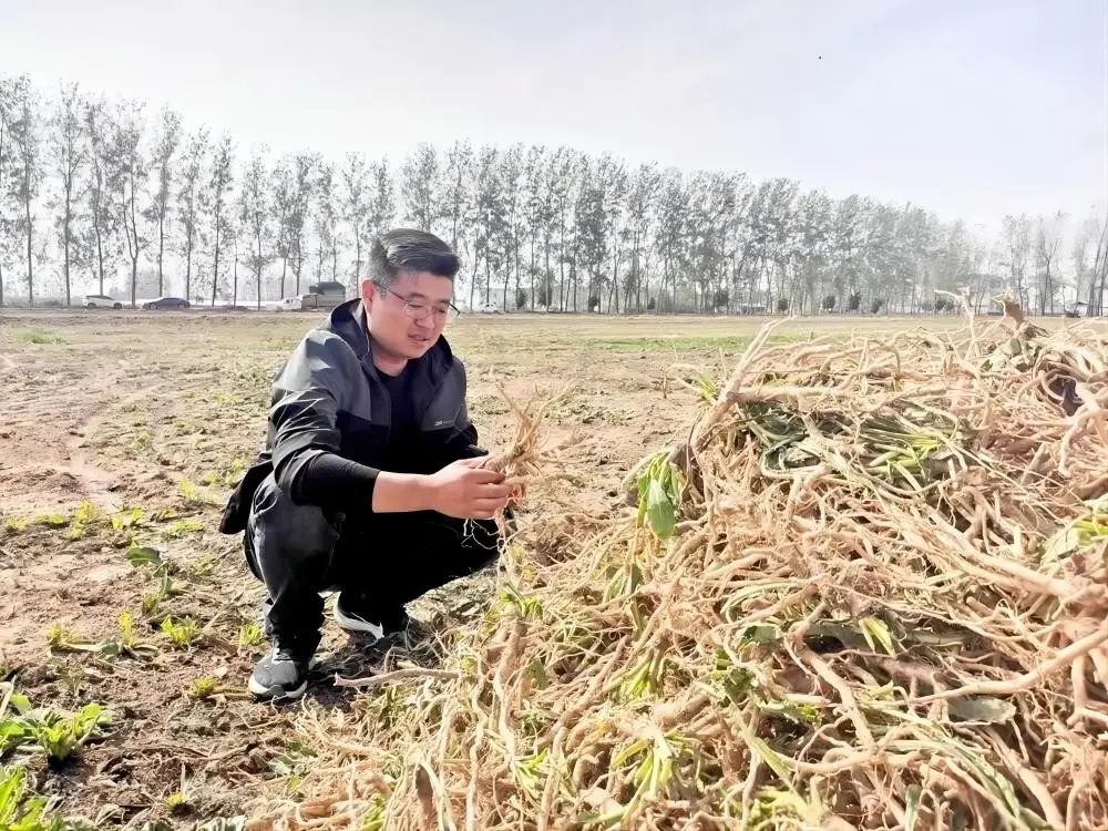 富硒大米一亩地多少钱