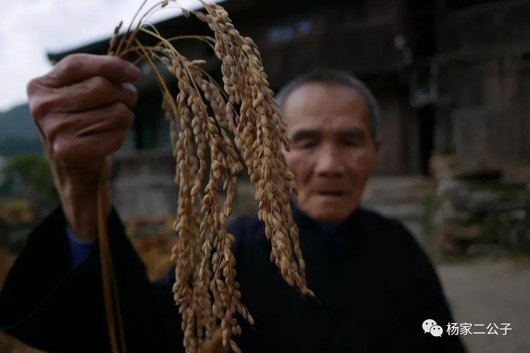 富硒大米含量百分之几