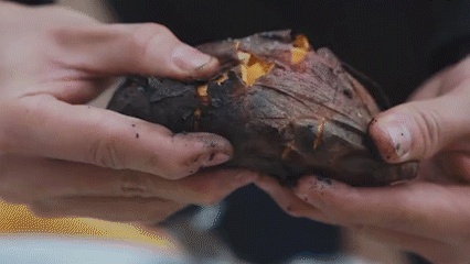 海南桥头富硒地瓜测评