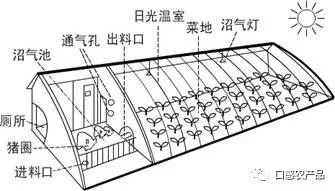 富硒地瓜种植技术视频