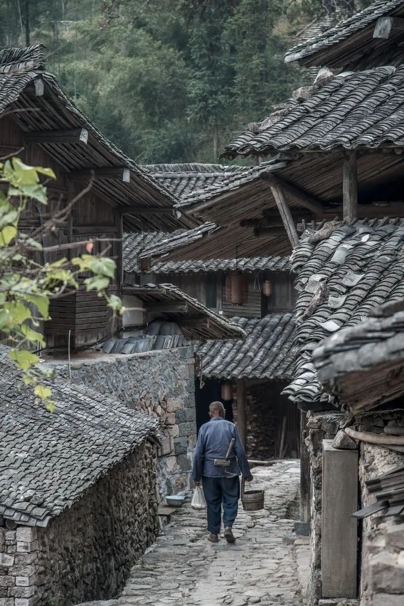 儋州富硒地瓜种植时间