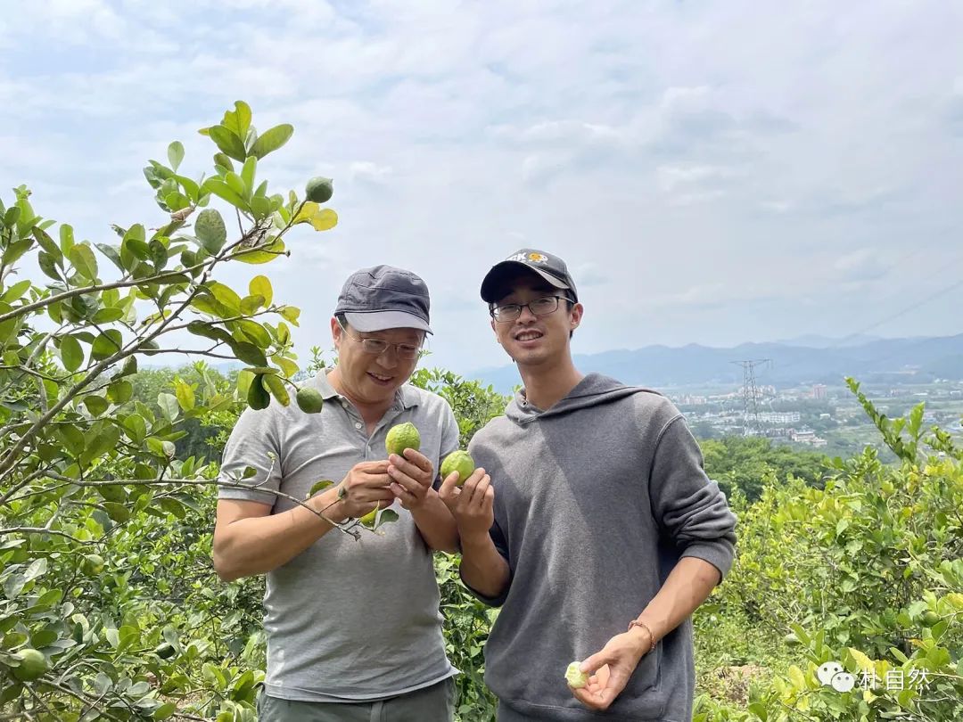 儋州富硒地瓜种植时间