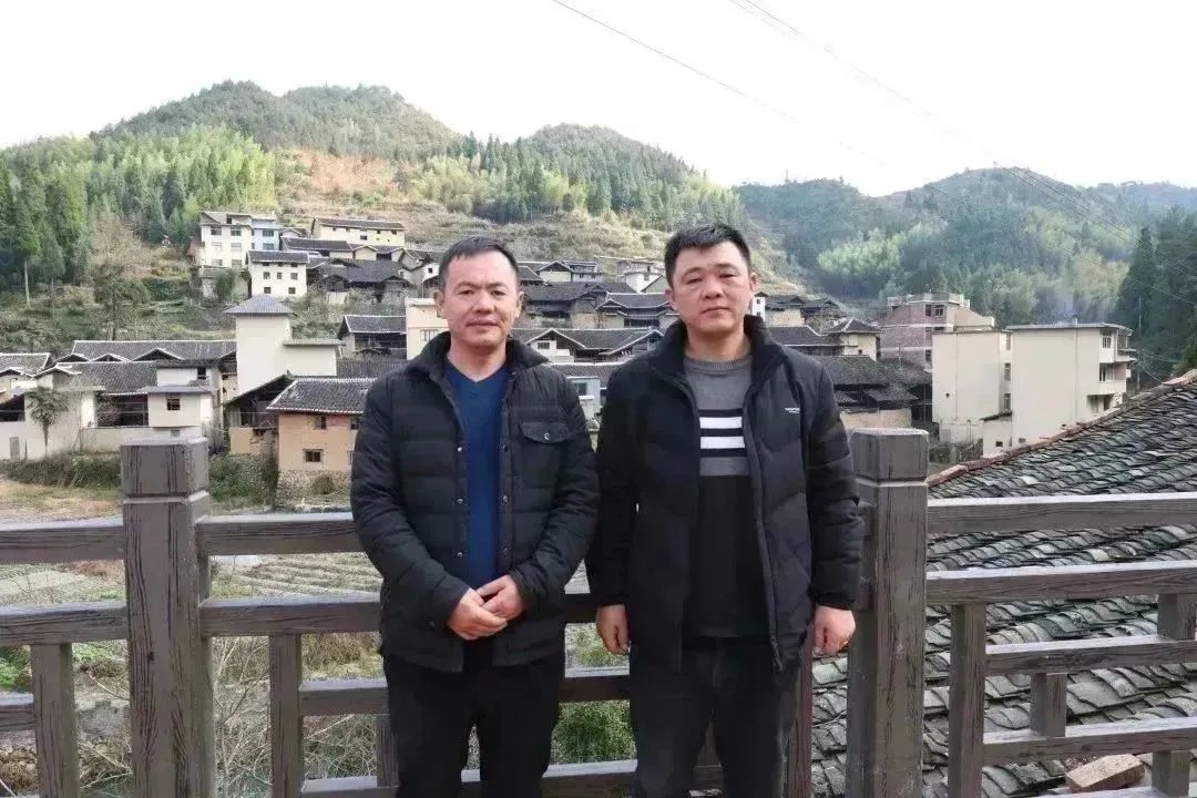 福建富硒地瓜种子价格