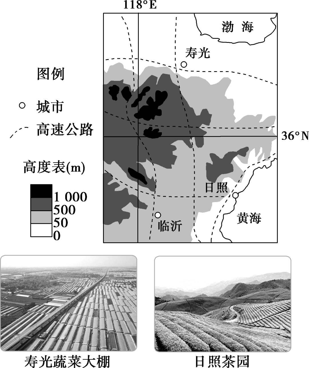 福建富硒地瓜种子价格