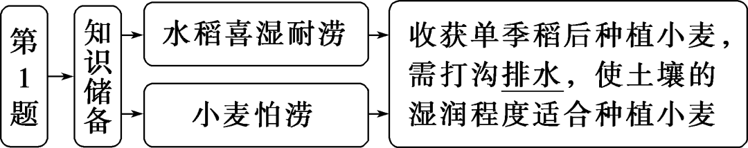 福建富硒地瓜种子价格