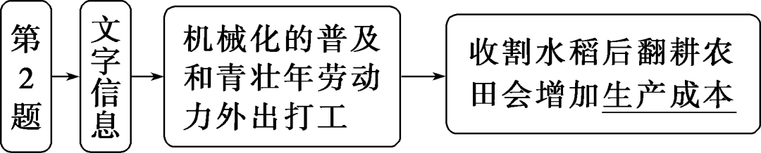 福建富硒地瓜种子价格