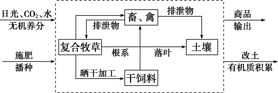 福建富硒地瓜种子价格