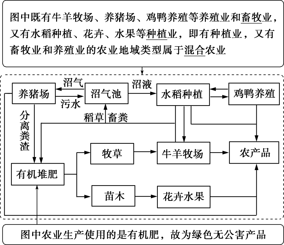 福建富硒地瓜种子价格