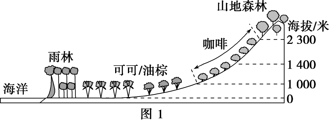 福建富硒地瓜种子价格