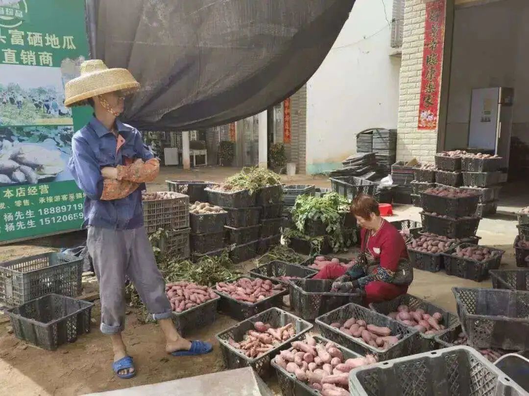 孕妇能多吃富硒地瓜吗