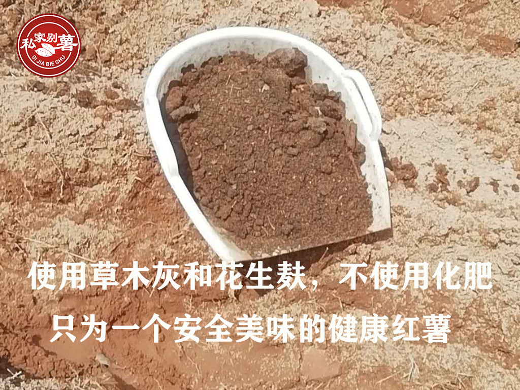 富硒地瓜蒸烂了怎么办