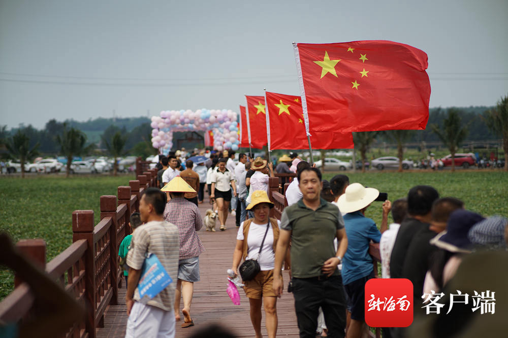 澄迈县桥头镇富硒地瓜