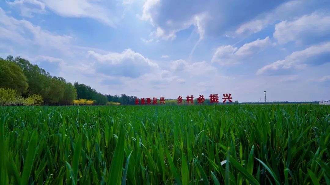 幸福麦田石磨富硒面粉