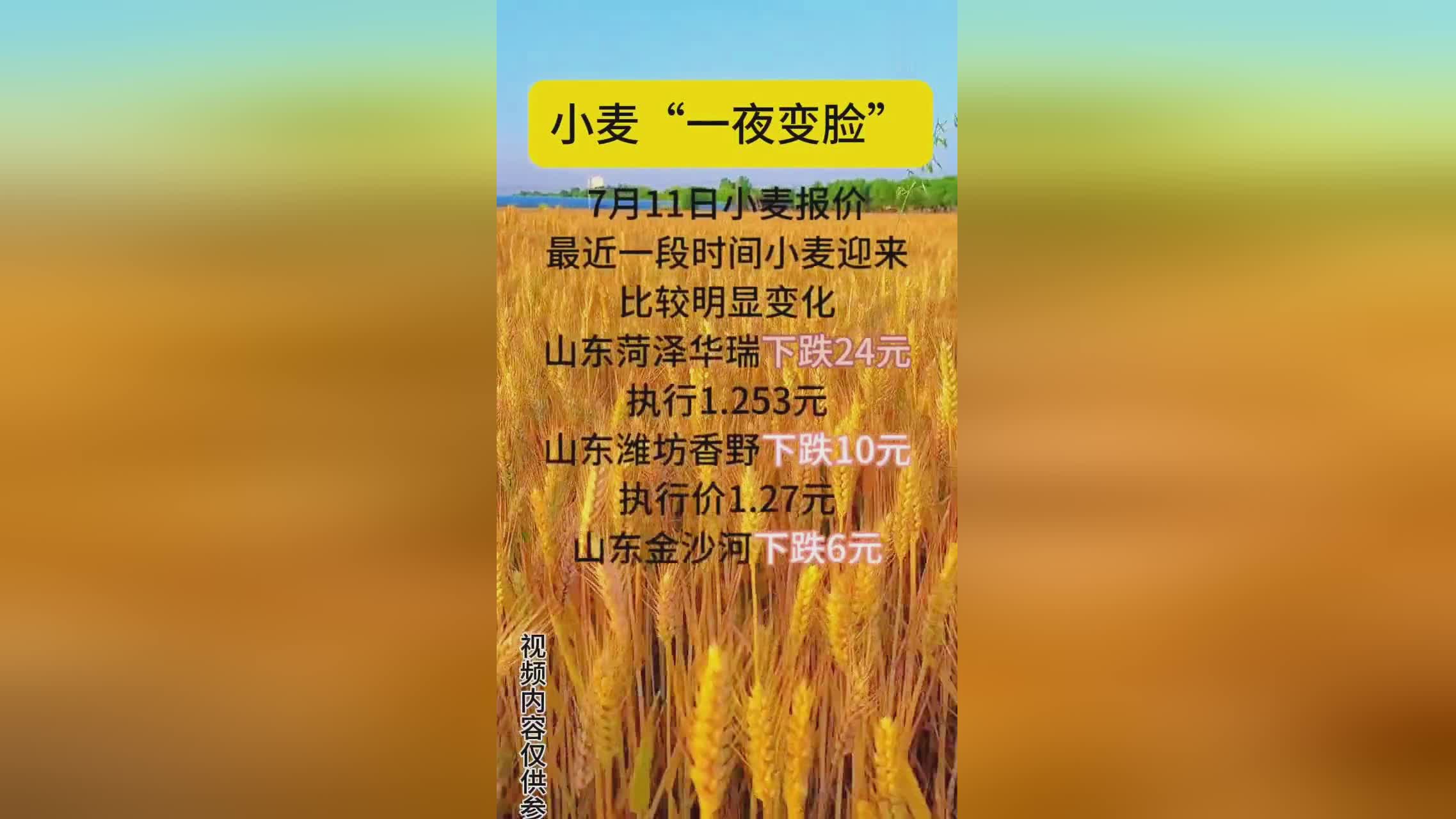 富硒小麦面粉价格走势