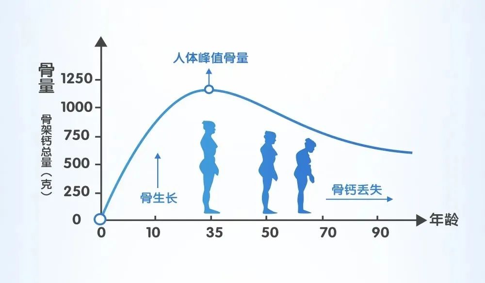 中老年补钙的最佳方法