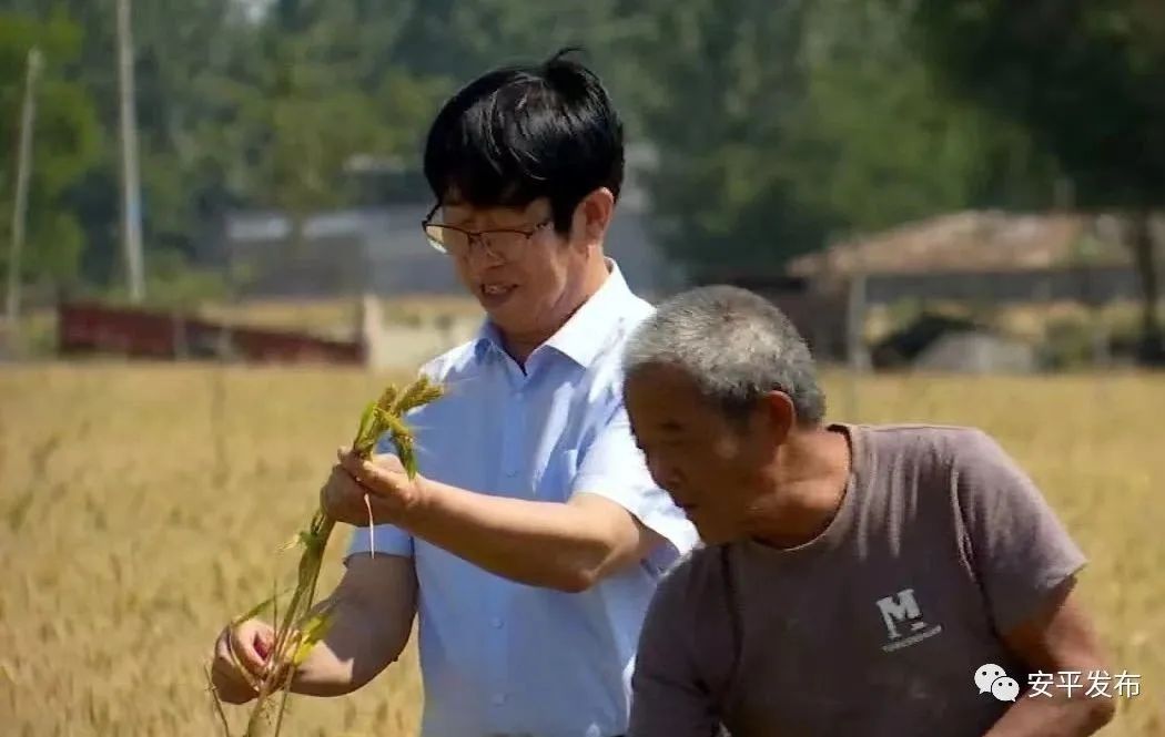 富硒面粉真的能抗癌吗