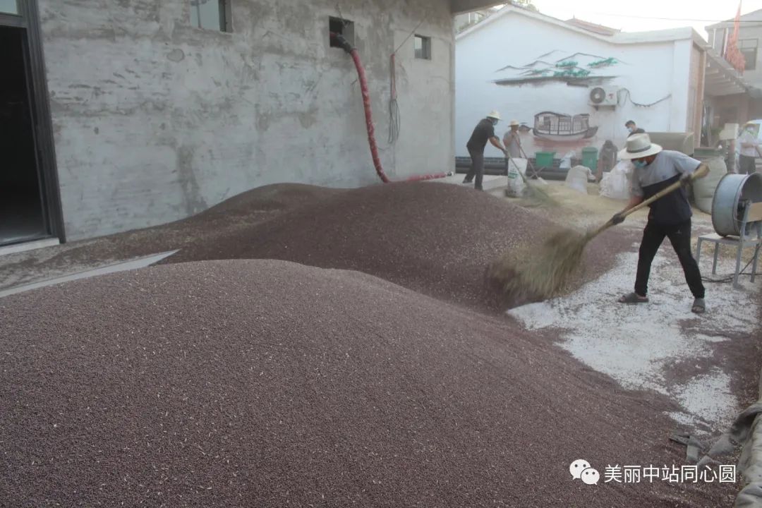 富硒面粉含有氨基酸吗