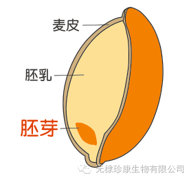 富硒面粉含有氨基酸吗