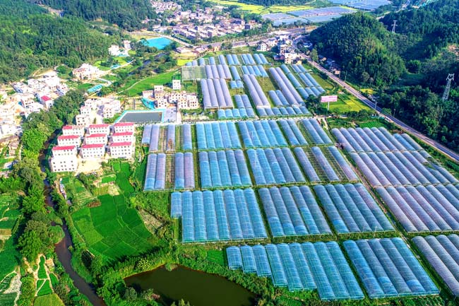 富硒蔬菜种植示范基地