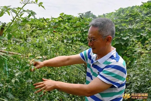 航天科技富硒蔬菜大栅