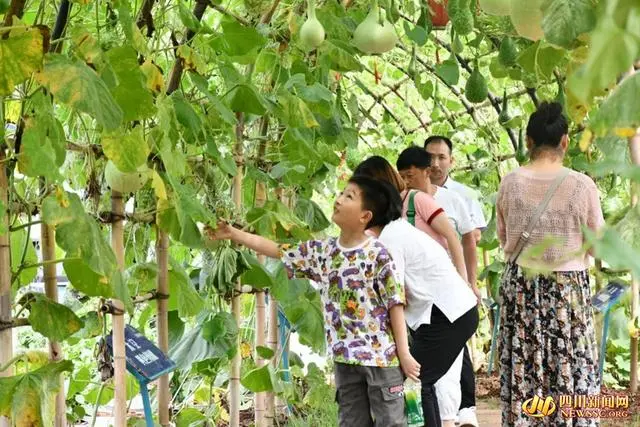 航天科技富硒蔬菜大栅