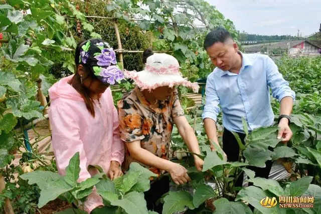 航天科技富硒蔬菜大栅