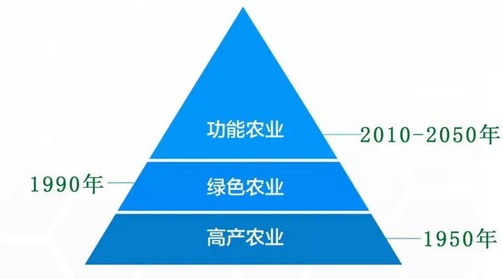 富硒蔬菜生产技术路线