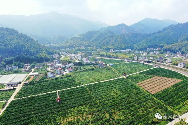 临淄富硒蔬菜种植基地