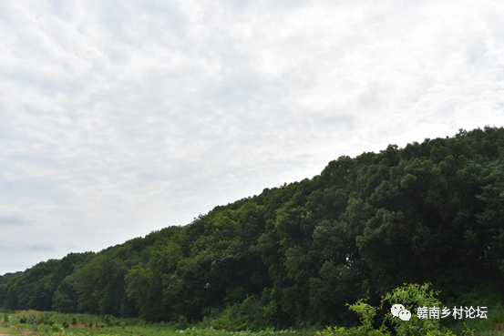 梓山万亩富硒蔬菜基地