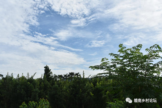 梓山万亩富硒蔬菜基地