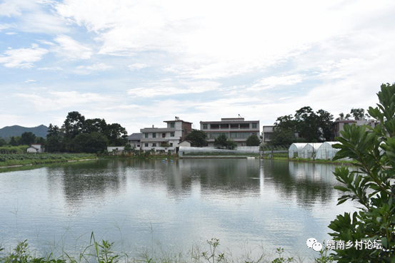 梓山万亩富硒蔬菜基地