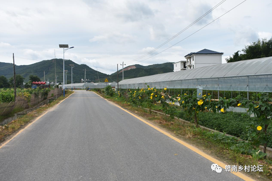 梓山万亩富硒蔬菜基地