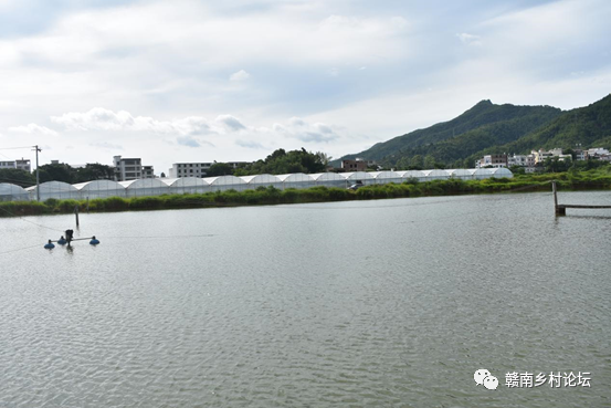 梓山万亩富硒蔬菜基地