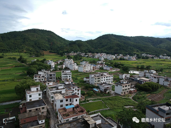 梓山万亩富硒蔬菜基地