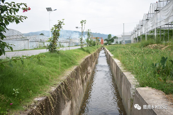 梓山万亩富硒蔬菜基地