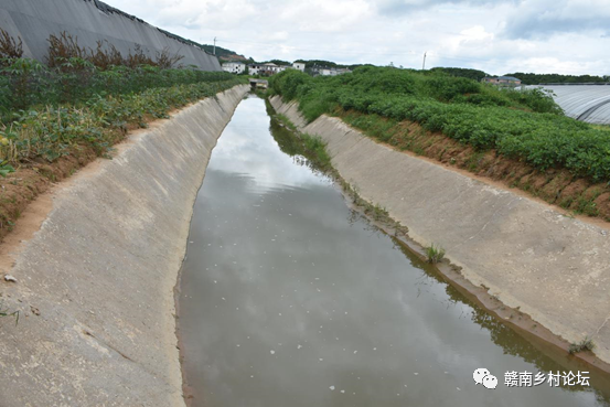 梓山万亩富硒蔬菜基地