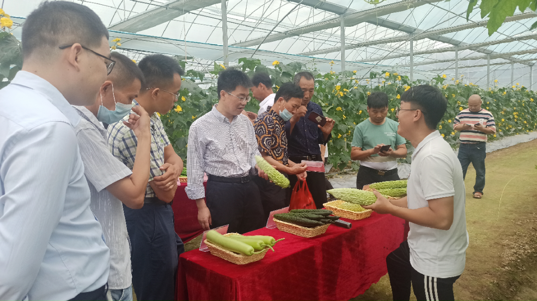 于都潭头富硒蔬菜市场