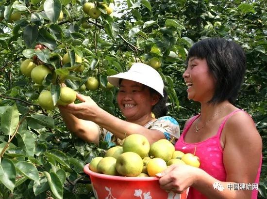 什么水果属于富硒果子