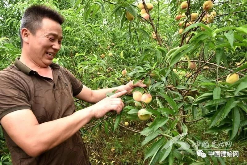 什么水果属于富硒果子