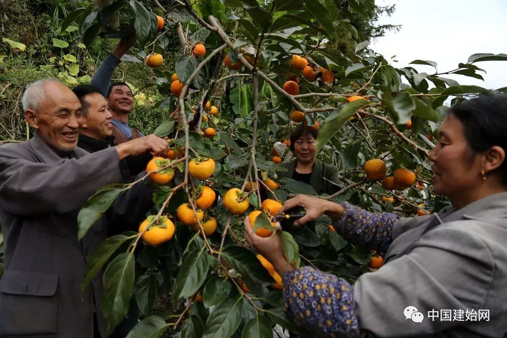 什么水果属于富硒果子