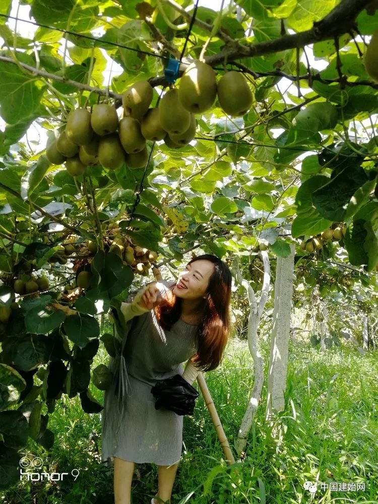 什么水果属于富硒果子