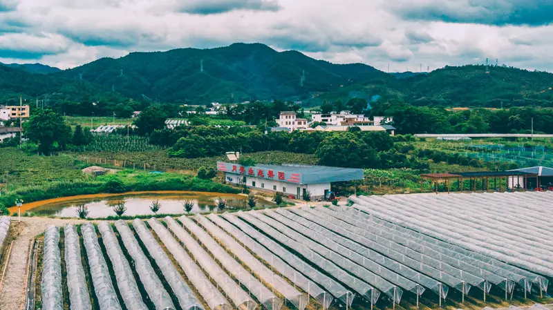 富硒水果基地示范样板