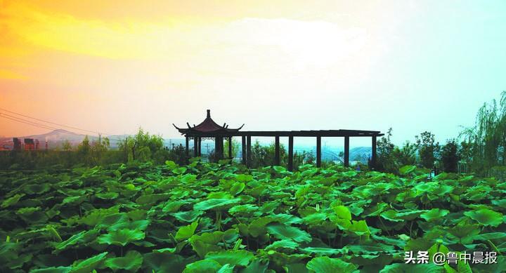 淄博富硒水果种植基地