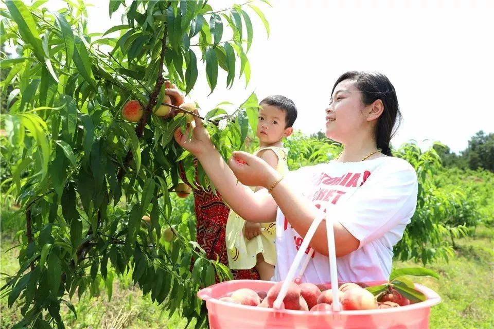 什么水果属于富硒果子